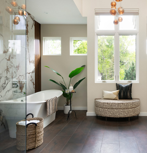 Award Winning Design and Remodel - Roma Project
